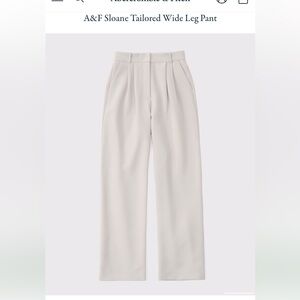 Abercrombie & Fitch Sloane Tailored Wide Leg Pant